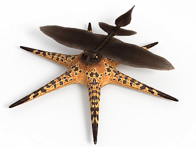 海星怪兽模型