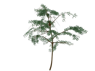 户外植物模型3d模型