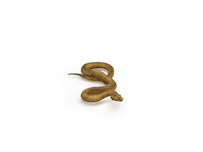 3d野生无毒蛇免费模型
