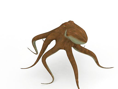 3d深海大章鱼模型