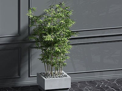 植物3d模型
