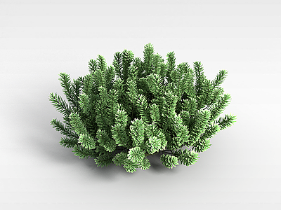 3d户外植物模型