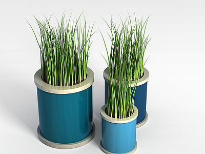 绿色长叶盆栽模型3d模型