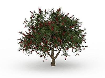 红花景观树模型3d模型
