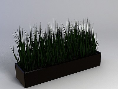 绿色长叶盆栽模型3d模型