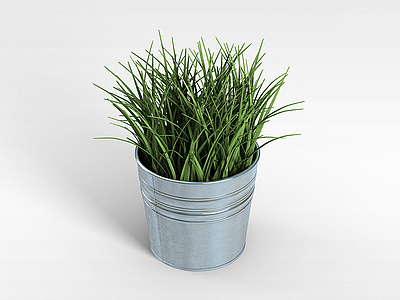 3d绿色长叶植物模型