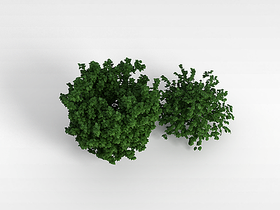 3d灌木丛模型