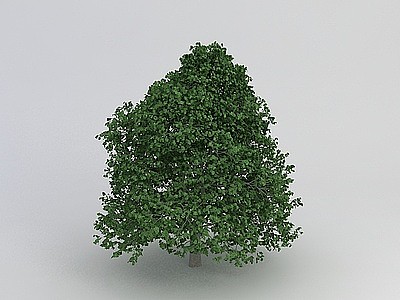 茂盛绿叶植物模型3d模型