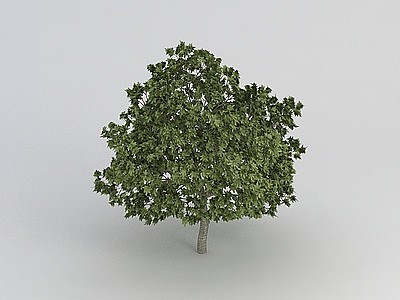 茂密绿植模型3d模型