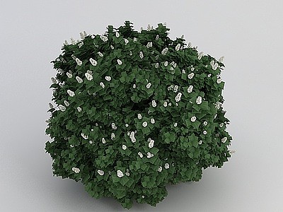 白花绿叶植物模型3d模型
