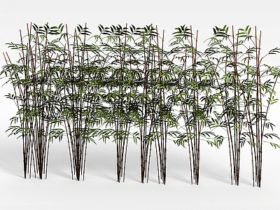 3d公园绿竹模型