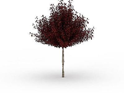 秋叶树木模型3d模型