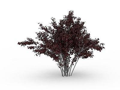 红色树木模型3d模型