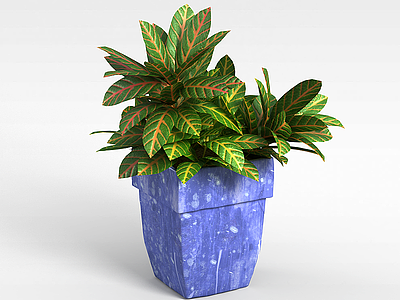 绿色室内盆栽模型3d模型