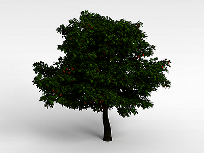 3d绿色杨梅树模型