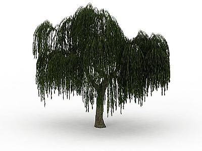 3d茂盛柳树免费模型