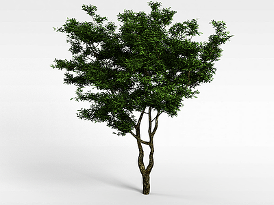 3d绿色景观树模型