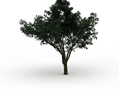 绿化树木模型
