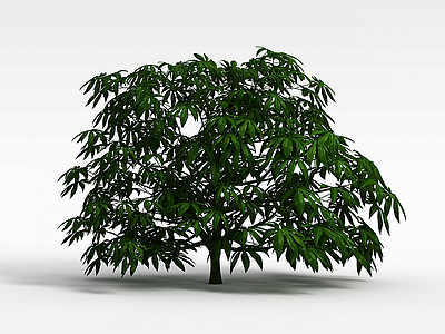 3d观音棕竹盆景模型