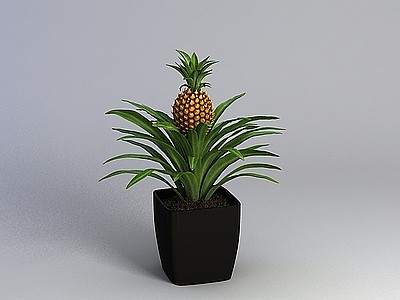 3d菠萝盆栽免费模型