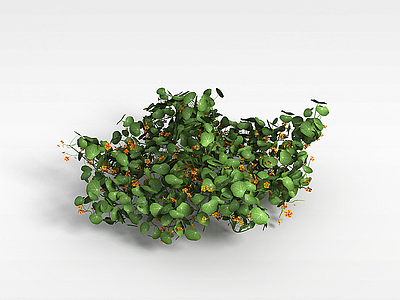 3d小黄花绿叶植物模型