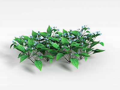 蓝色小花植物模型