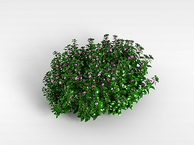 粉色小花植物模型3d模型