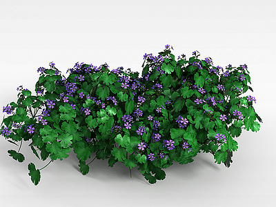 3d紫色小花大叶植物模型