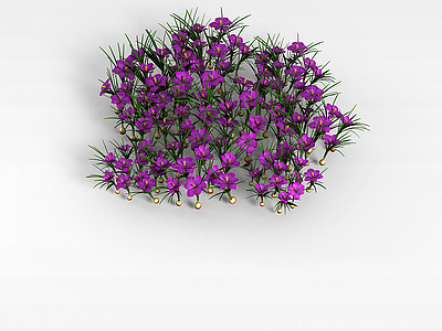 3d紫色水仙花模型