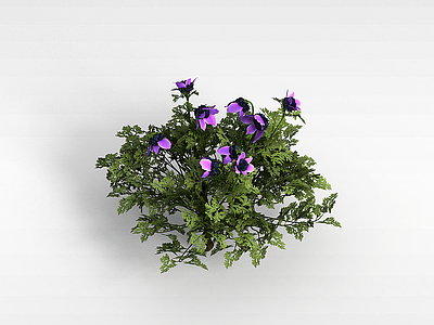 3d六瓣紫色花朵模型
