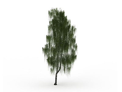 园林柳树模型