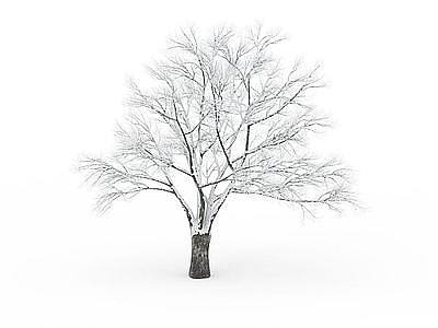 3d矮树冠挂雪树木免费模型