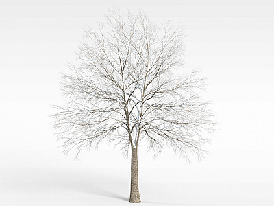 3d白色挂雪树木模型