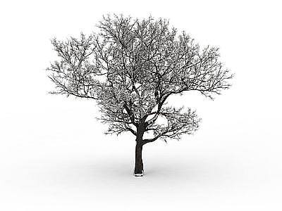 3d矮树冠落雪树免费模型