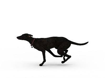 3d黑色家犬免费模型