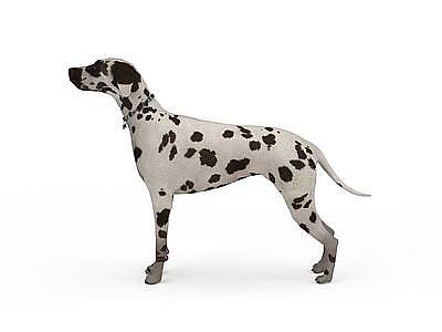 斑点狗模型