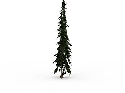 圣诞树灌木模型