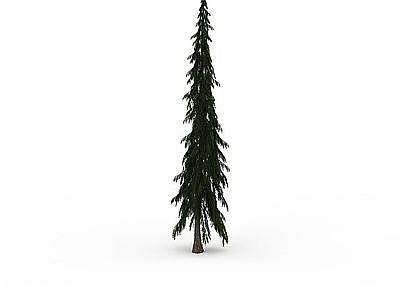 圣诞树植物模型3d模型