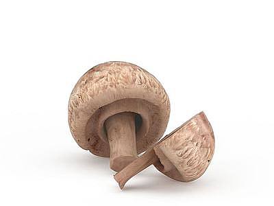 蘑菇香菇模型