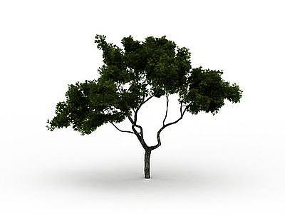3d<font class='myIsRed'>公园树</font>木免费模型