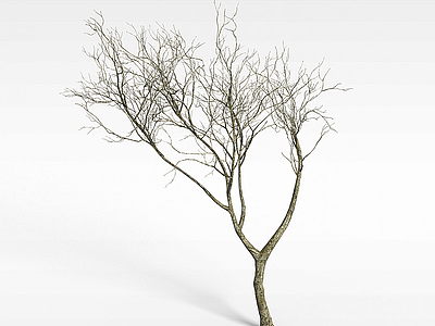 冬天枯树模型
