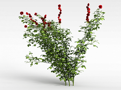 红花灌木模型