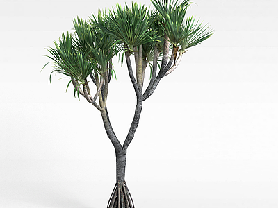 扇形灌木模型3d模型