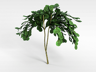 圆叶小树模型3d模型