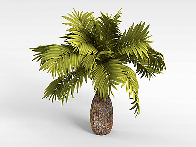 3d菠萝树模型