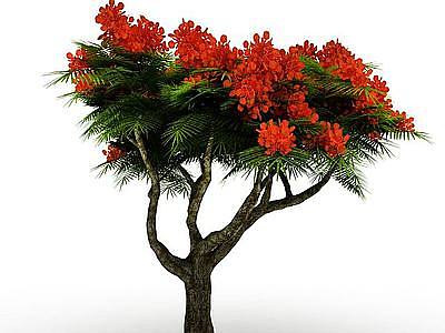 3d针叶红花树模型