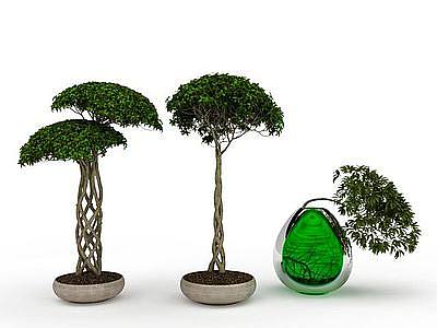 3d园林盆景模型