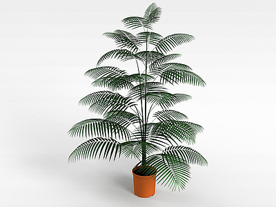 椰子盆栽模型3d模型