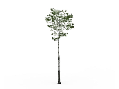 3d绿化小树免费模型
