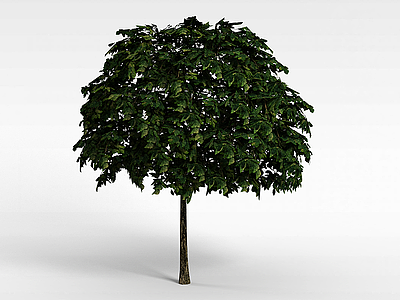 3d青树模型